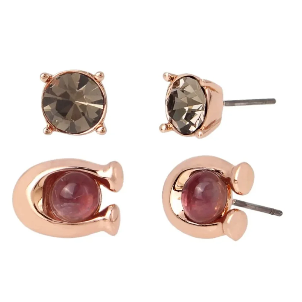 NWT COACH 376338 C-Stone Set of 2 Stud Earrings Amethyst